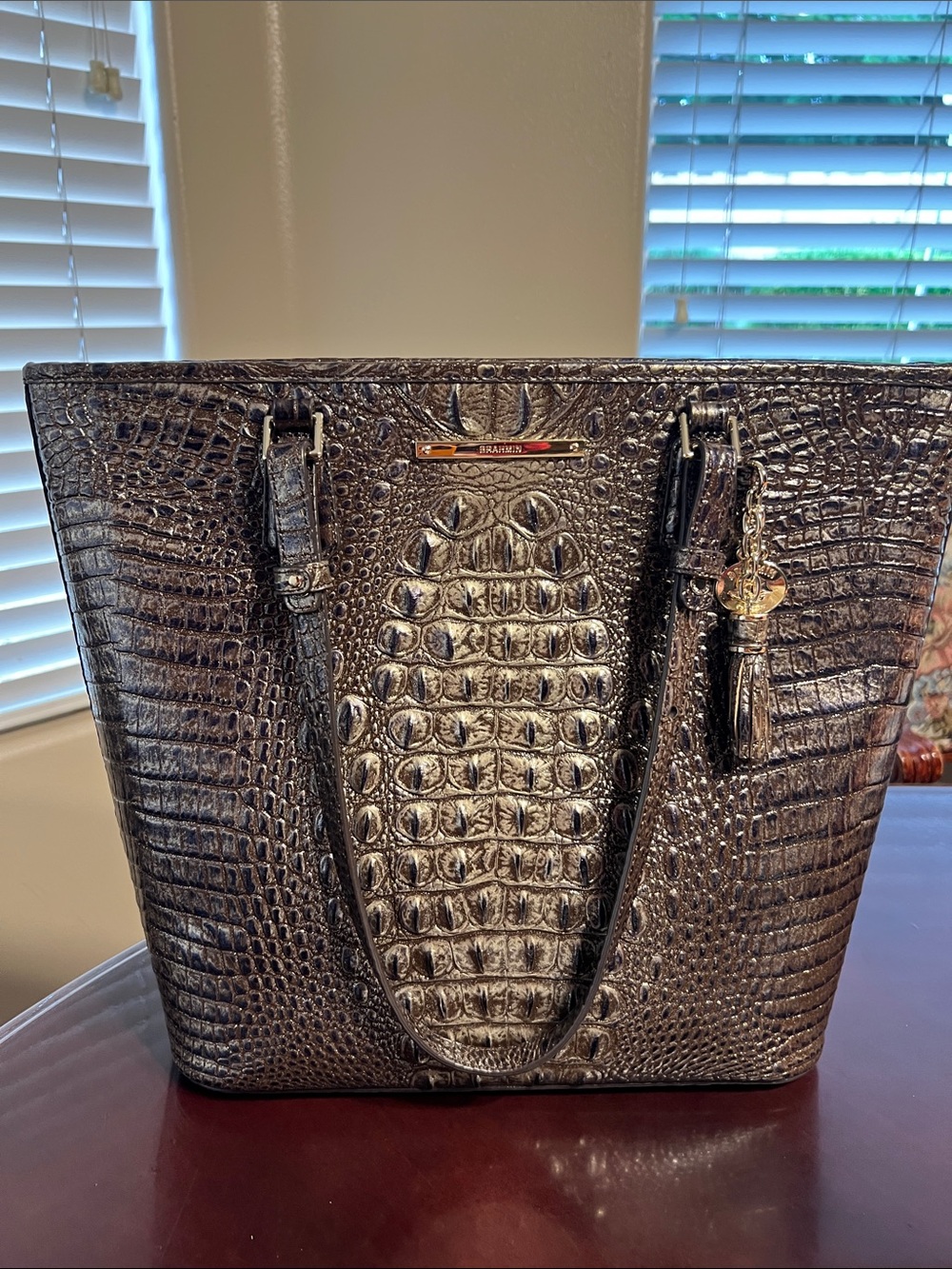 Brahmin  Umbra Misha / Ellen bag